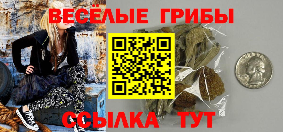 Галлюциногенные грибы мицелий Лесосибирск